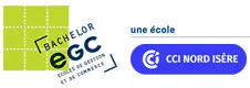 EGC Villefontaine Logo